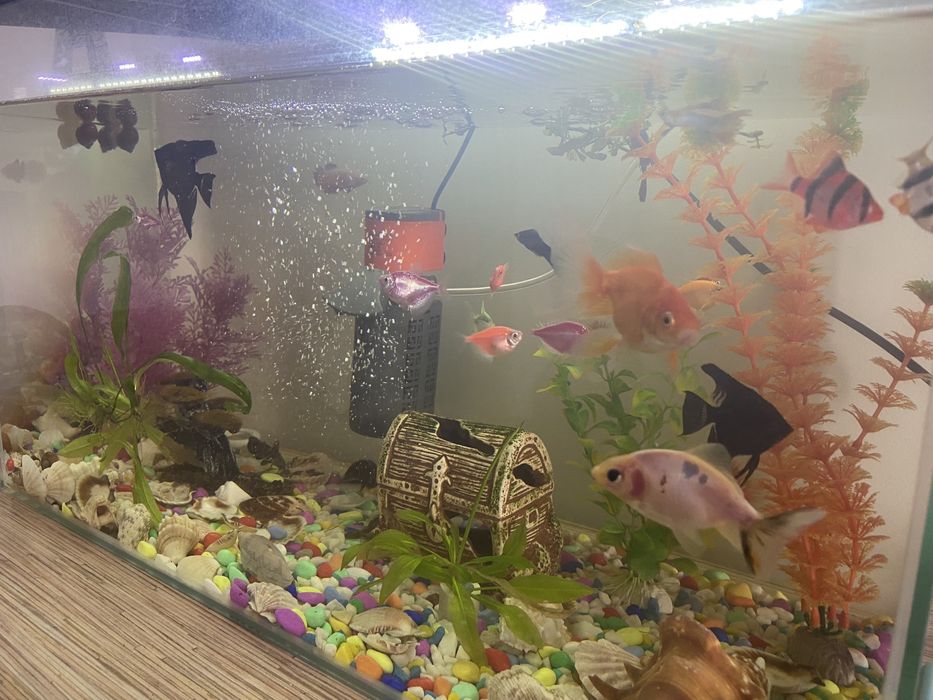 Продам большой аквариум