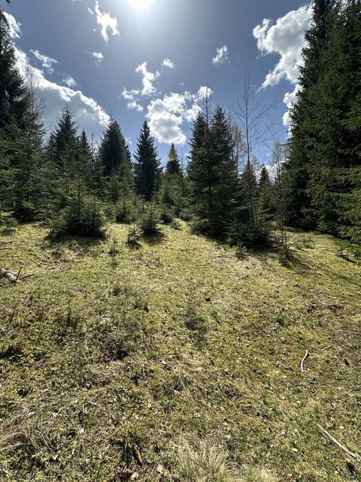 Teren Extravilan 6.651 mp