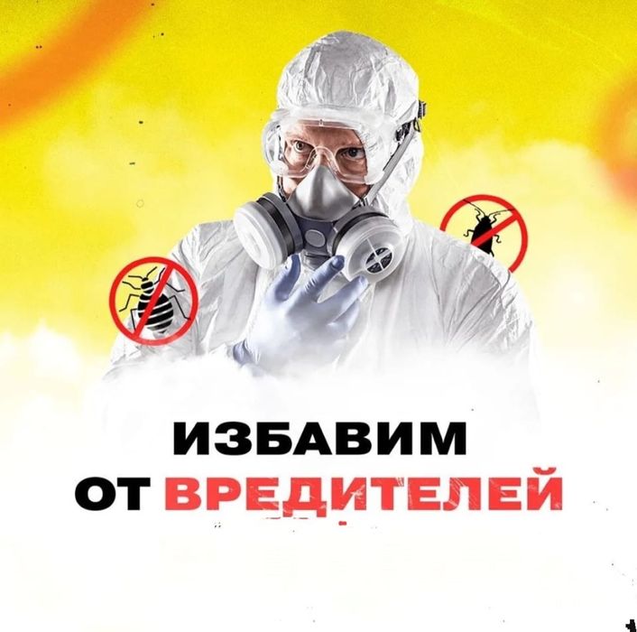 Дезинфекция от насекомых | Дезинсекция