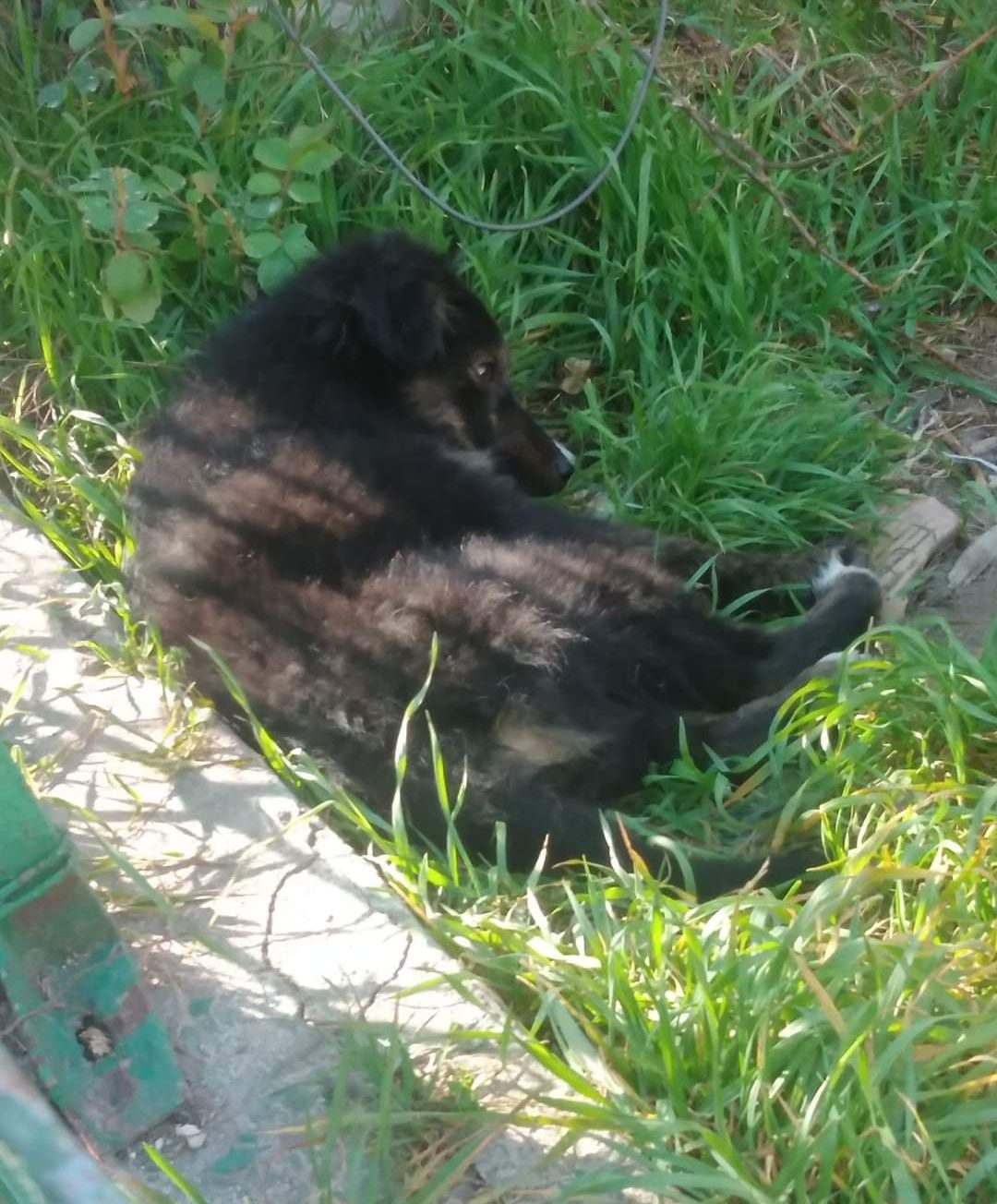 Търси се ! Знам само че е заведена в някакво село близо до град Варна