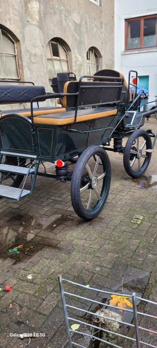 Vând trăsură maraton. De 8 persoane 6+2