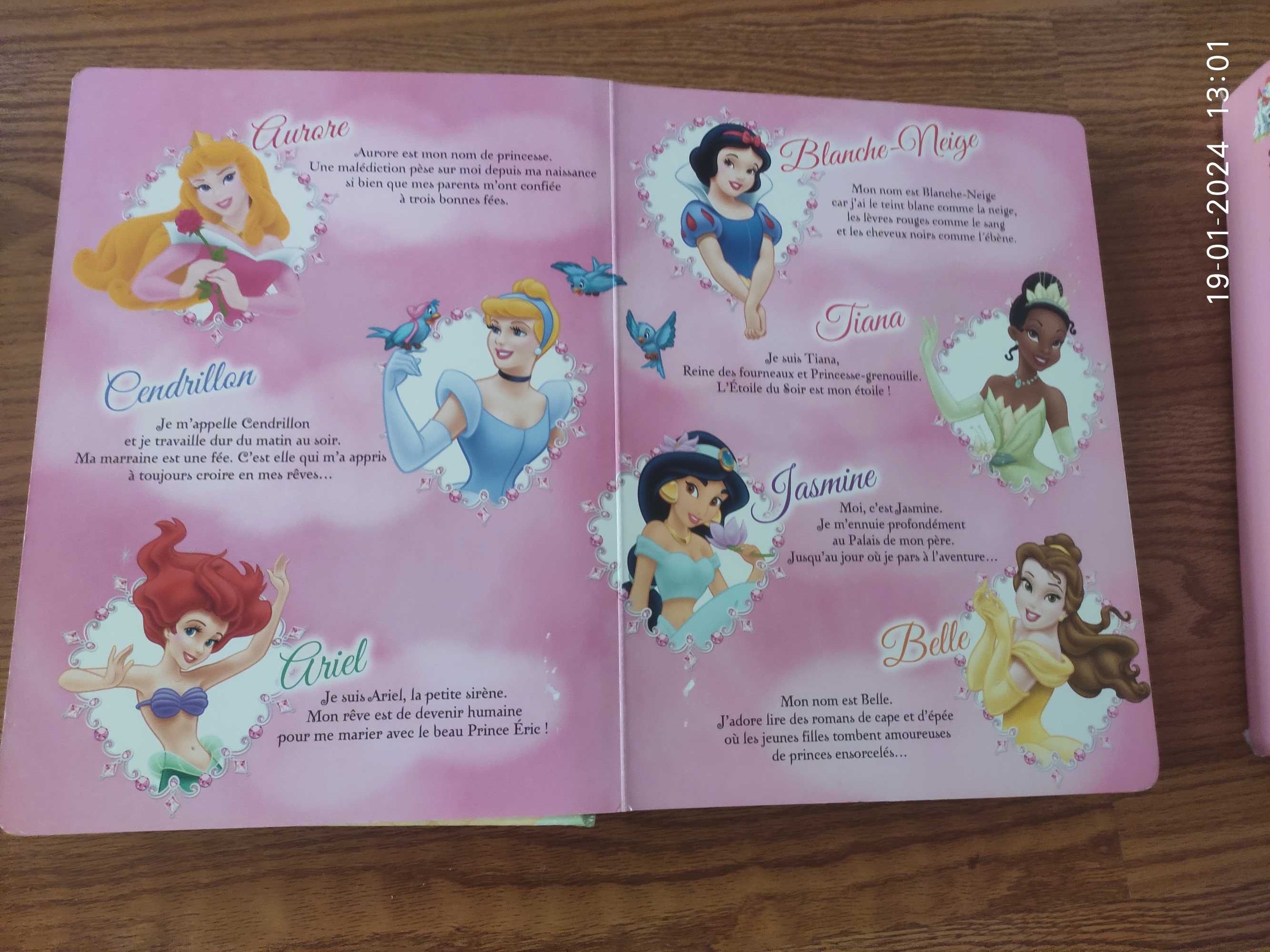 Lot carti povesti printese Disney in limba franceza