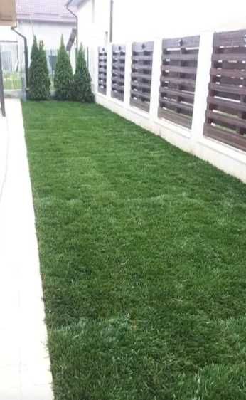 Grădina Ta Merită un Gazon Rulou Premium