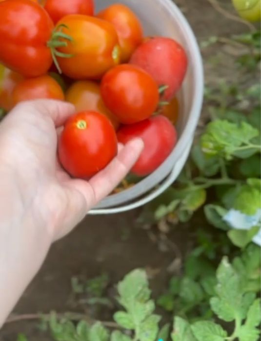 Продаётся дача в удобном районе — Медзавод