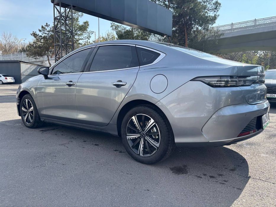 BYD chazor 2023 FULL