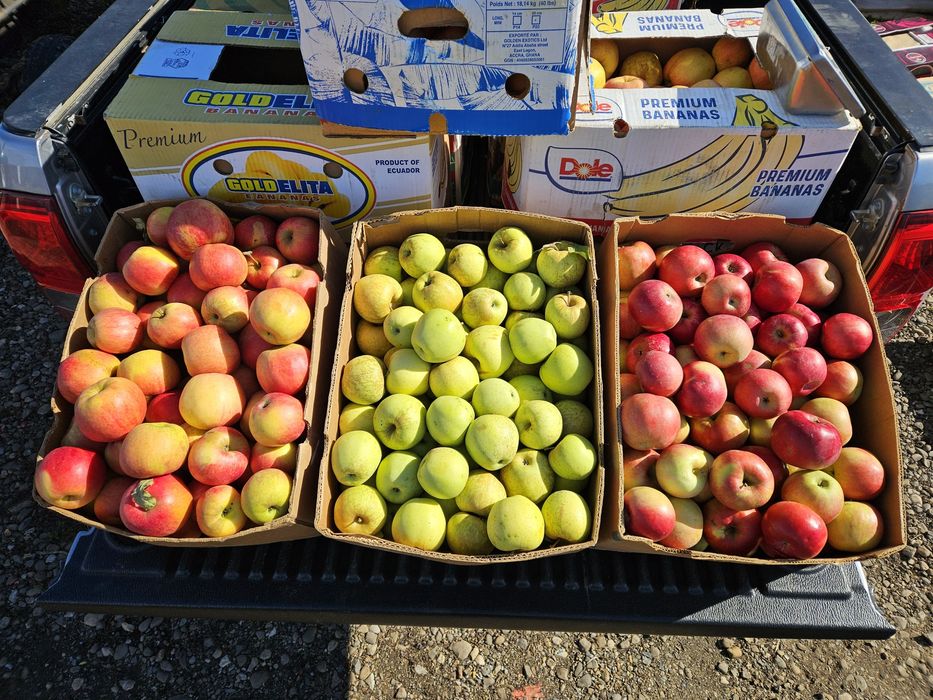 Mere Ionared, Golden, Ionagold, Florina, Starkrimson