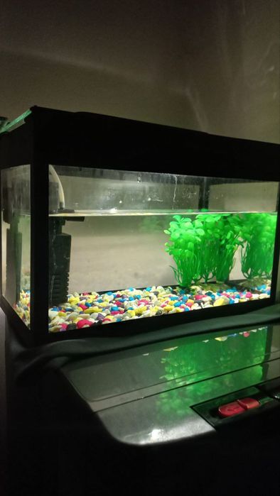 akvarium sotiladi