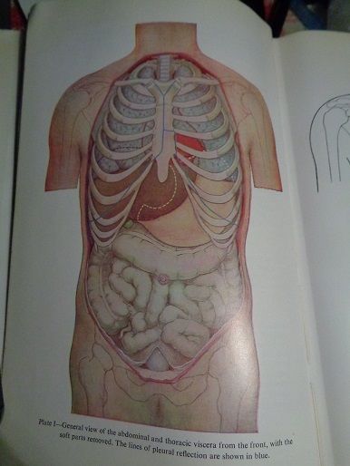 Black's medical dictionary