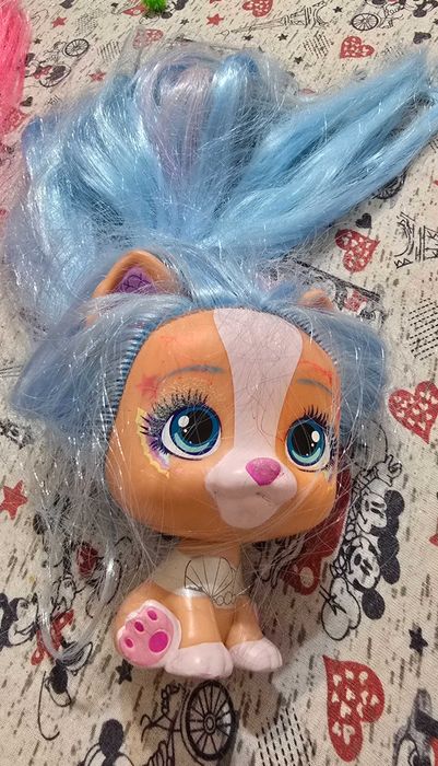 Cateluse VIP PETS DE VANZARE FOLOSITE,cu accesorii (ce a mai ramas)