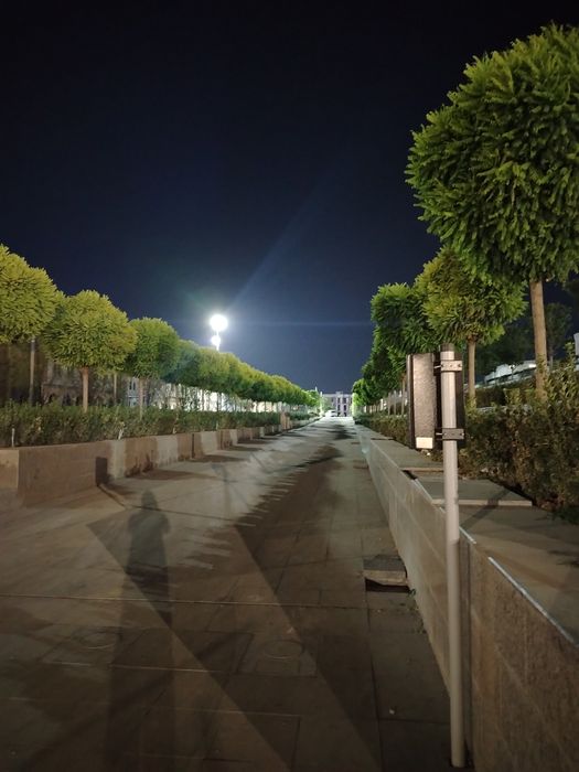 Gazon ekish xizmadlarimizni taklif qilamiz