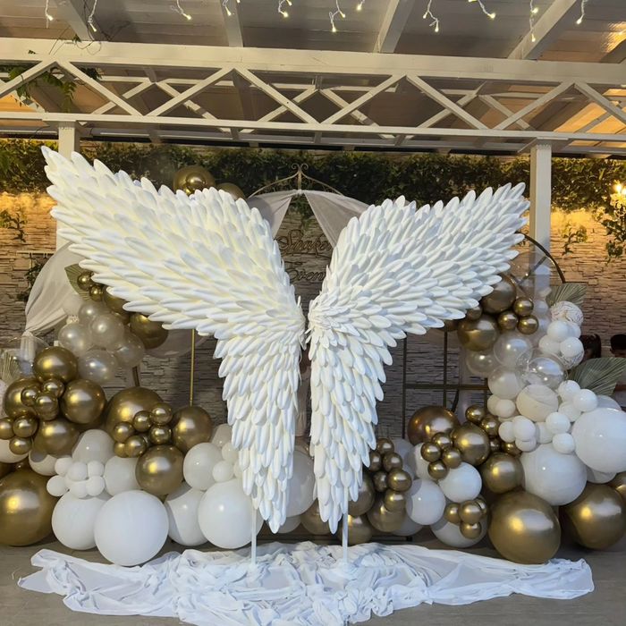 Aripi de inger disponibile pentru inchiriat