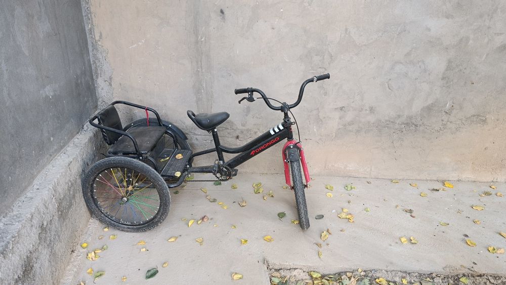 Velosiped detsliy