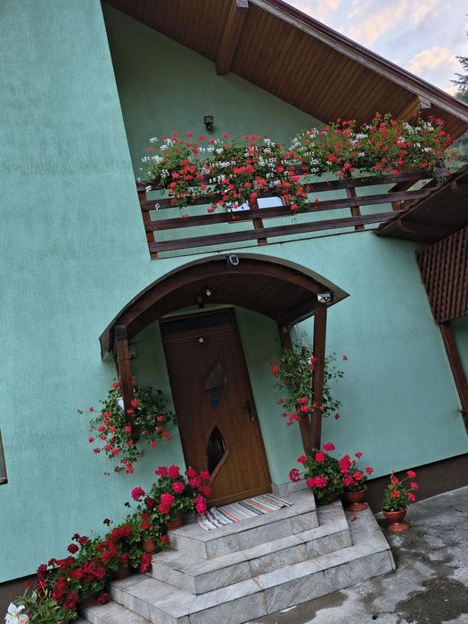 Cabana de închiriat de revelion