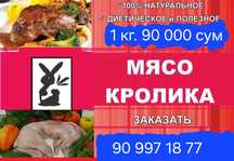 Кролики домашние.
