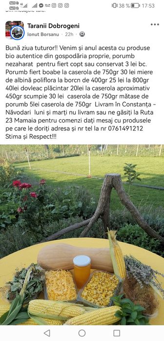 Porumb de fiert 3 lei bc