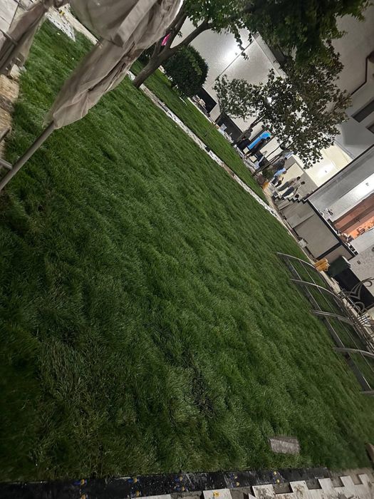 tayyor gazon ornatib berish xizmati poliv ustanovka