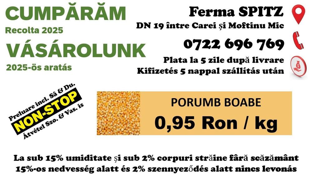 Achizitionare porumb