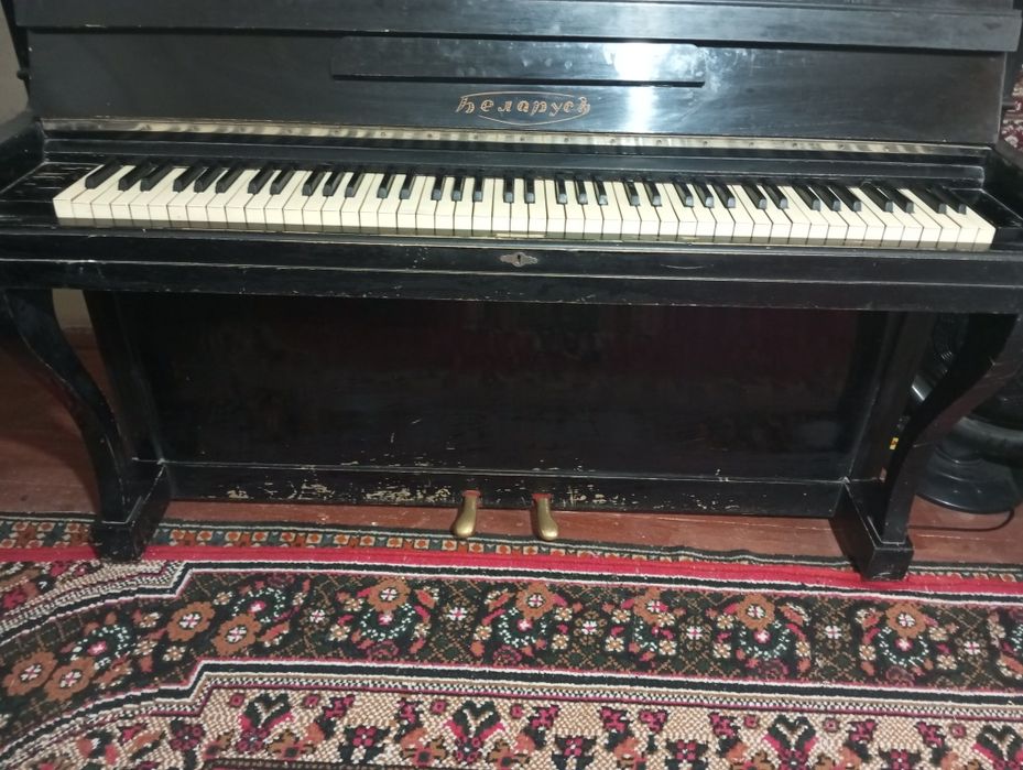 Pionina arginal belarus