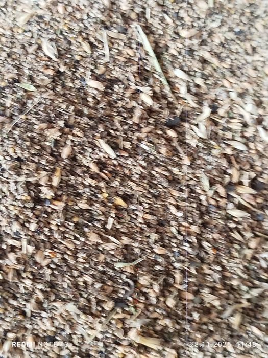 продам зерно отход