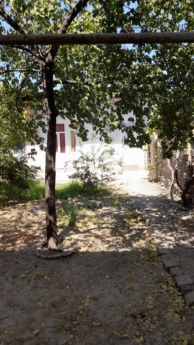 Ховли сотилади 7 сотих