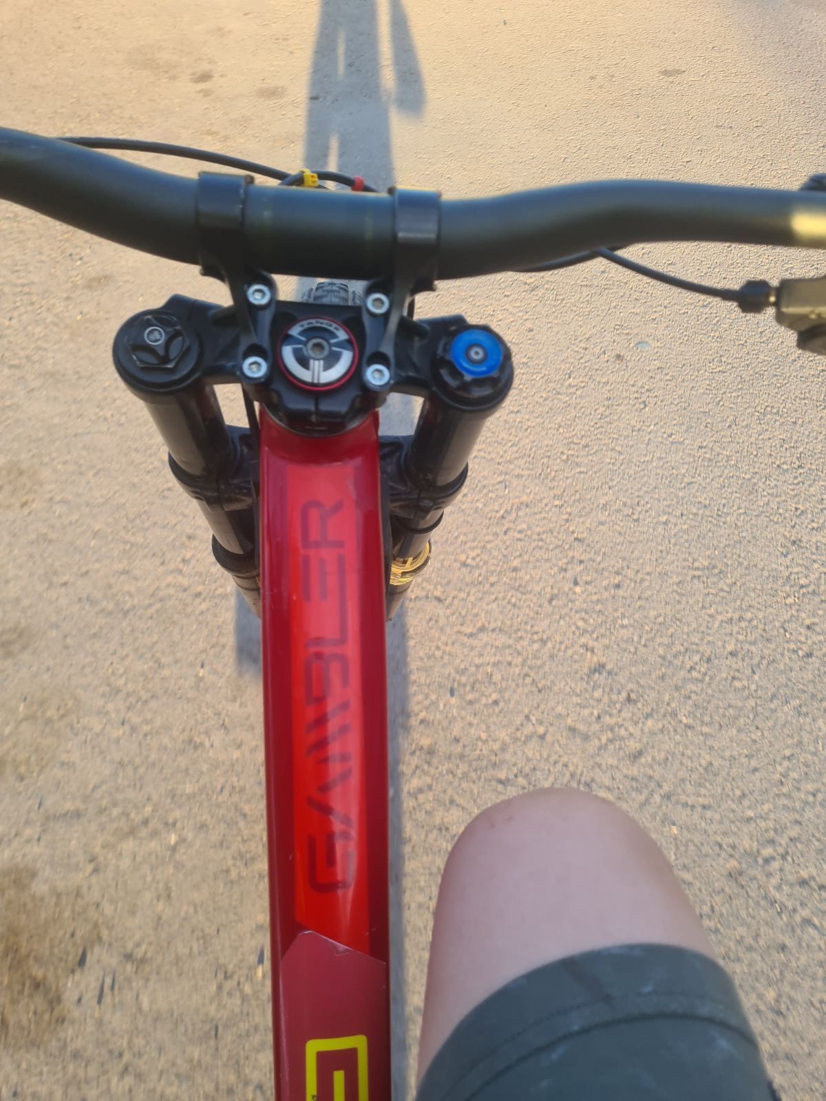 Scott Gambler DH mtb