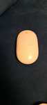 Mouse apple model A1197