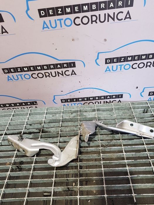 Balamale Capota Peugeot 4007 2007 - 2012 Argintiu (534)