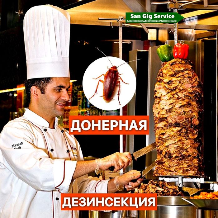 Дезинфекция Кафе Ресторан | Семей СЭС