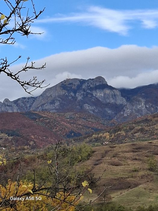 URGENT .Teren de vanzare Berislavesti