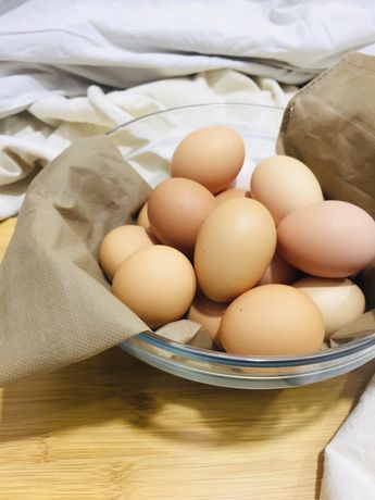 Домашний яйцо для инкубации