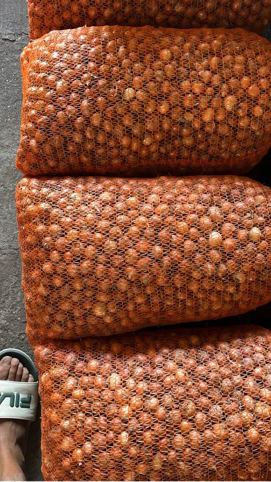 Vand Arpagic Romanesc