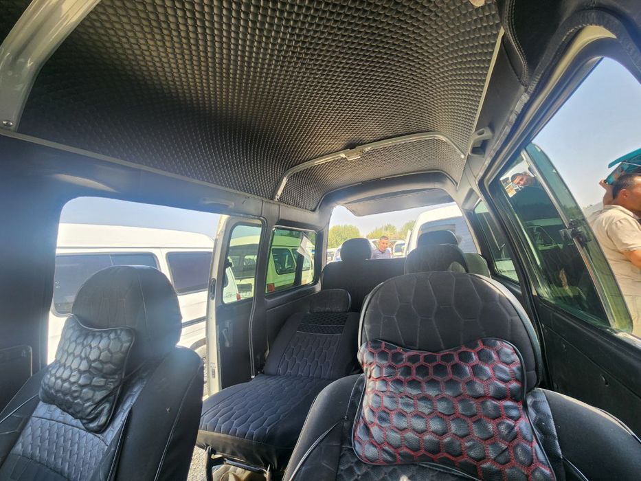 Damas sotildi serochny