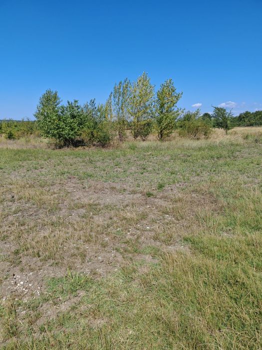 Teren intravilan Banesti-Urleta / 1500mp