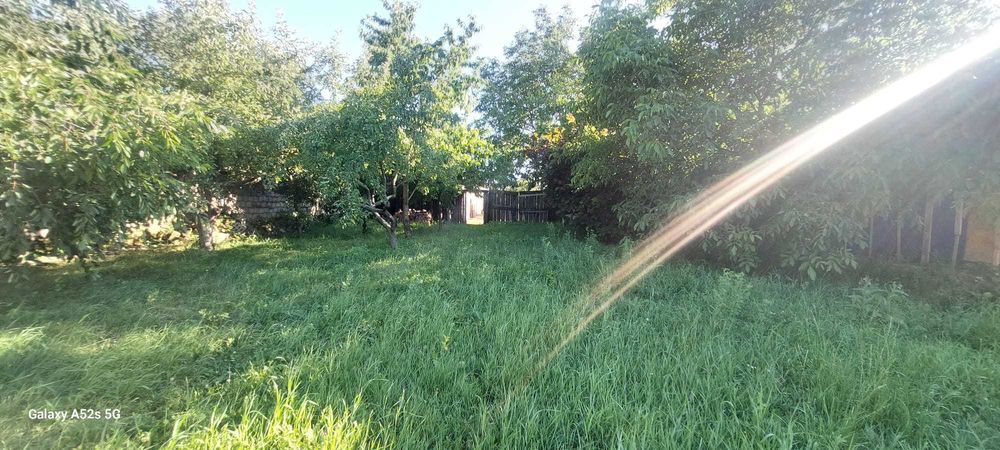 Casa solida saseasca + 2500mp teren, Bod