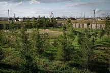 Продам земельный участок 8-10 соток в 15 минутах от Астаны