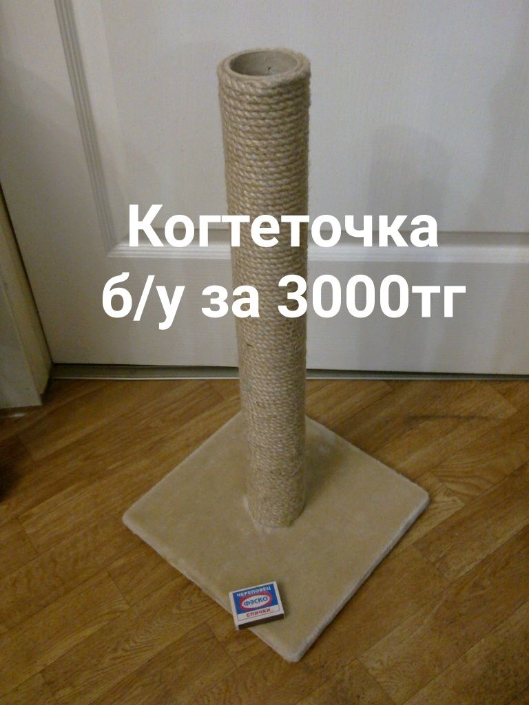 Когтеточка за 3000. Спешите забрать