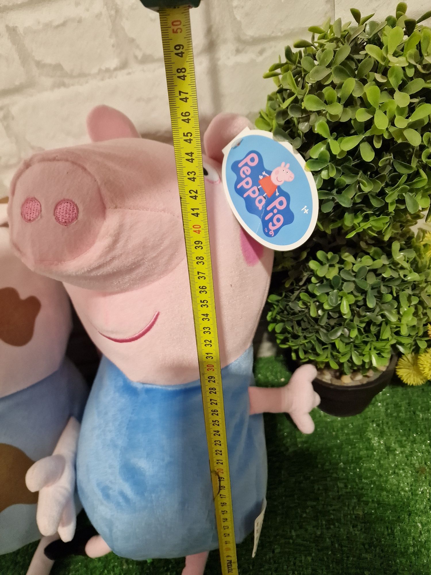 Pepа Pig различни видове