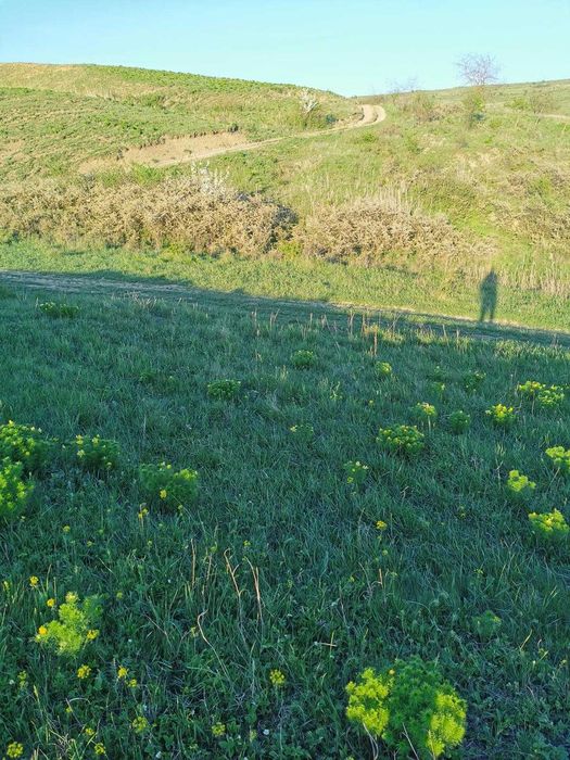 Teren intravilan, Chinteni . Zona Campenesti