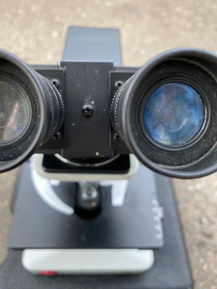 Microscop Leitz Laborlux D