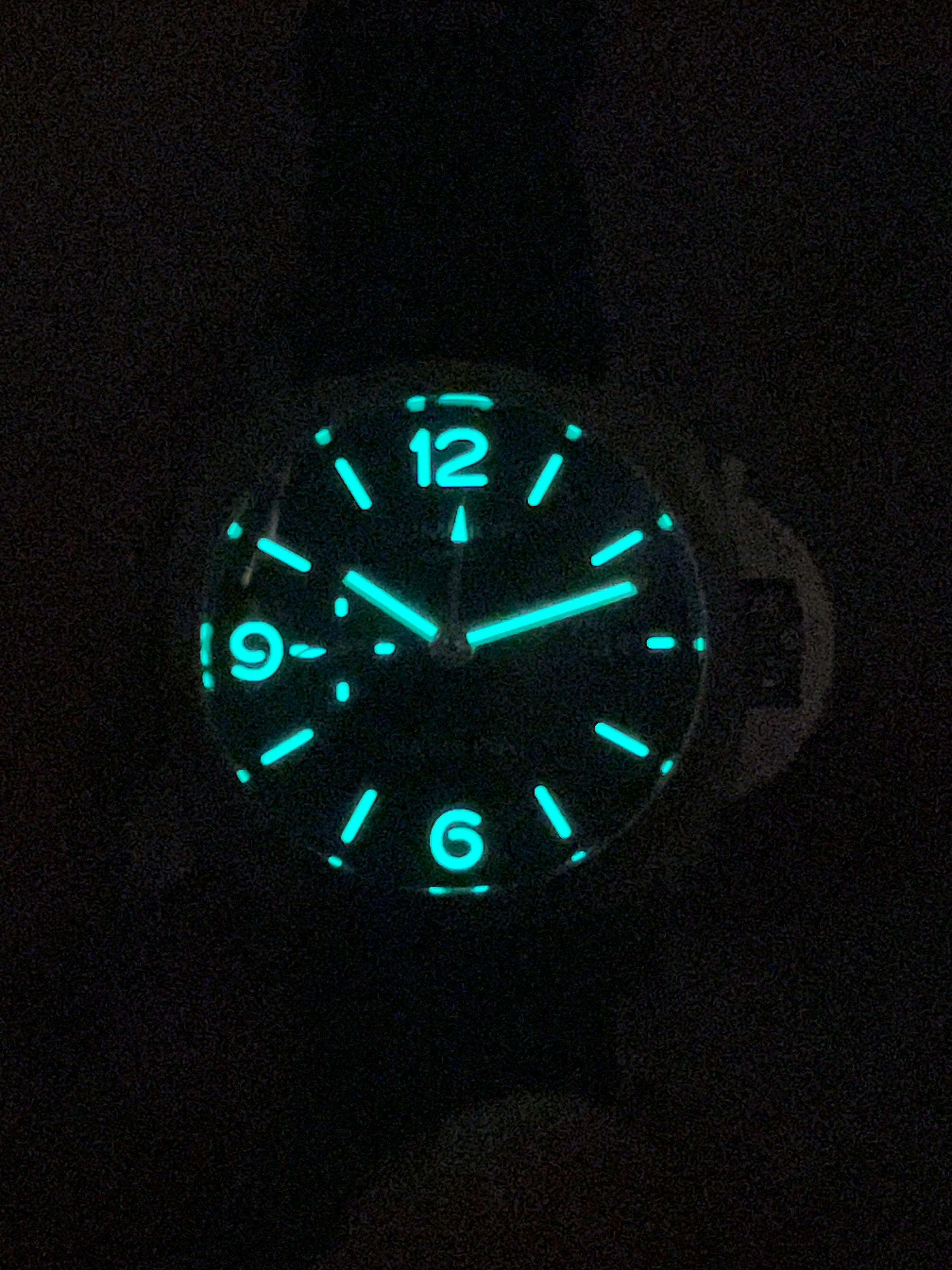 Panerai Marina GMT