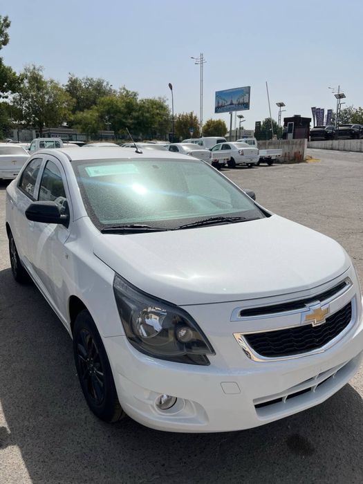 Cobalt Midnight  2025