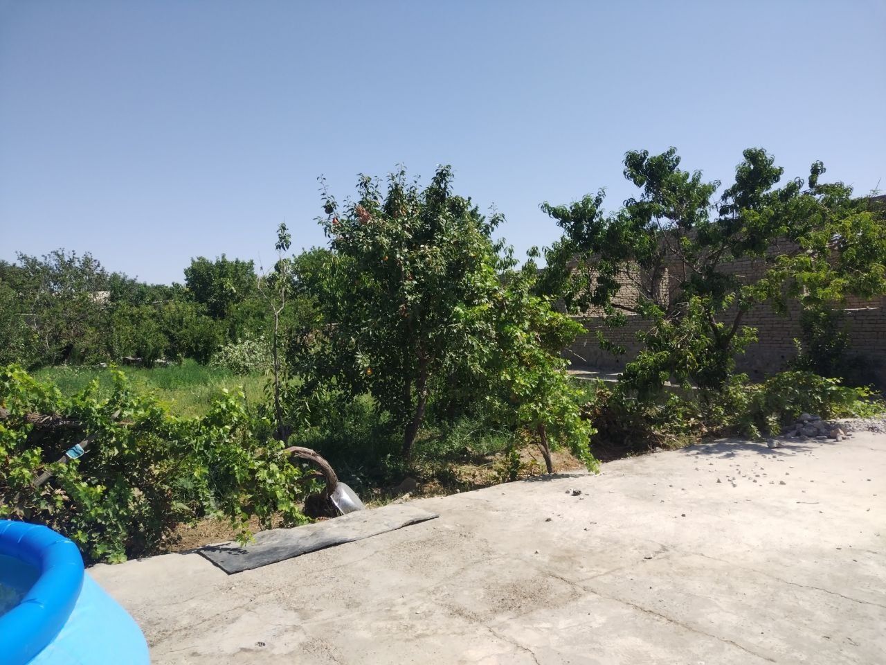 Hovli sotiladi 15 sotix.