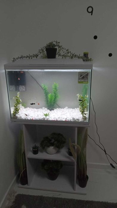 Vand acvariu 120 litri