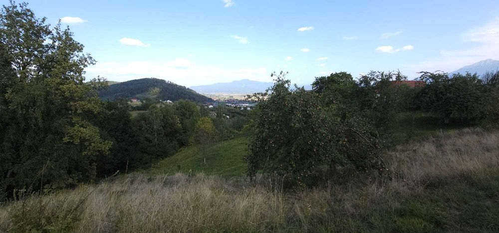 Teren Zarnesti (zona Pleasa), PUZ, 26 euro mp
