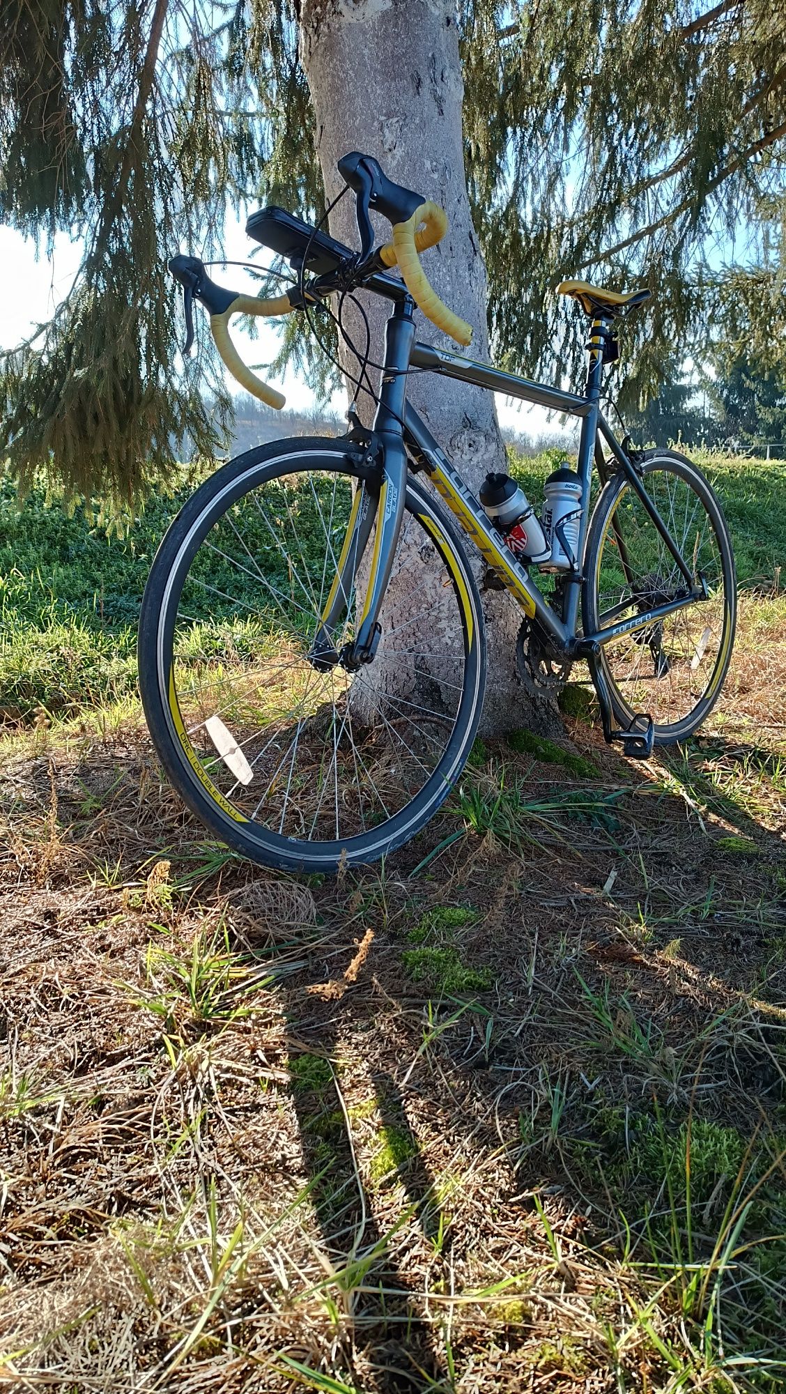 Vând cursiera Carrera LTD edition TDF