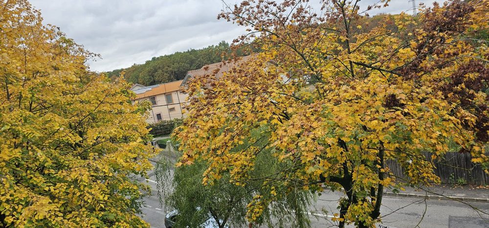 Gavana 2 camere, centrala termica