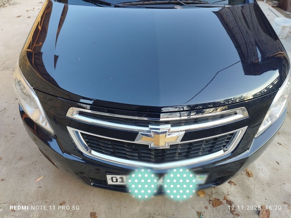 2023 краска тозза