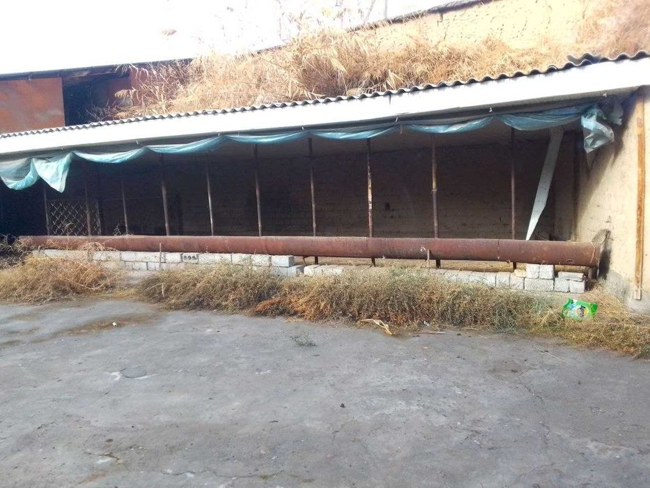 Тошкент вилояти Яангйол туманида 30 сотихди ферма сотилади