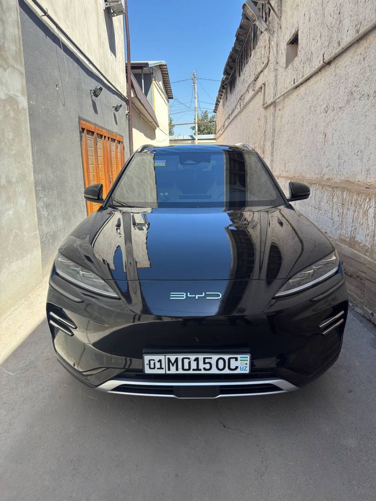 BYD Chempion 2024