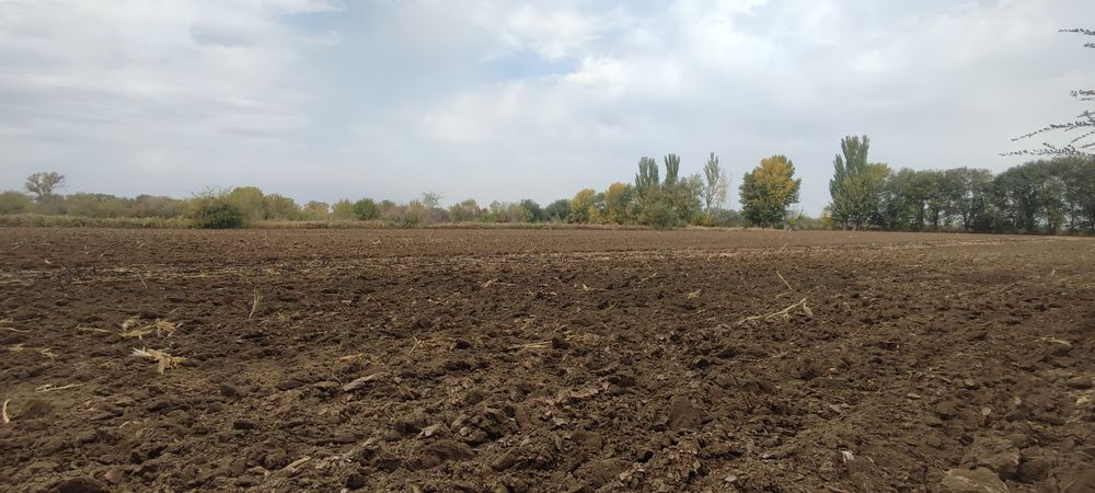 Продам землю 4 га выкупленая
